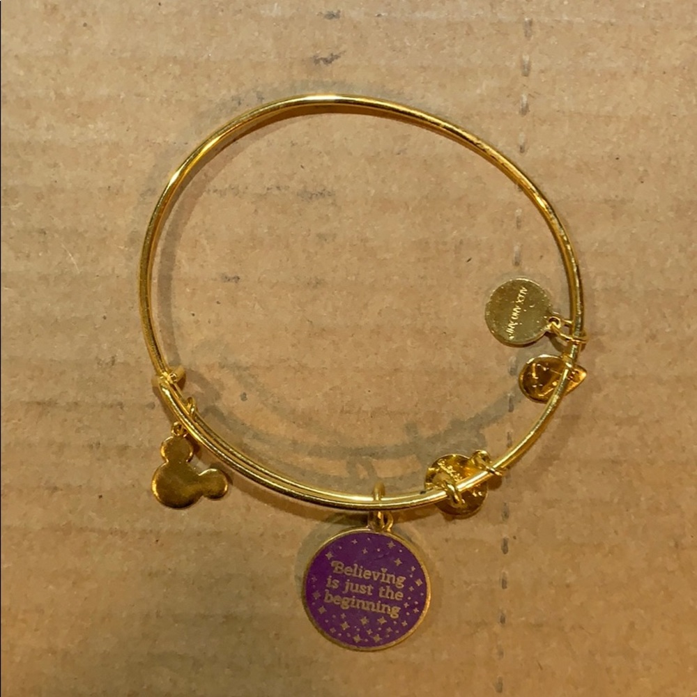 Disney Alex n Ani